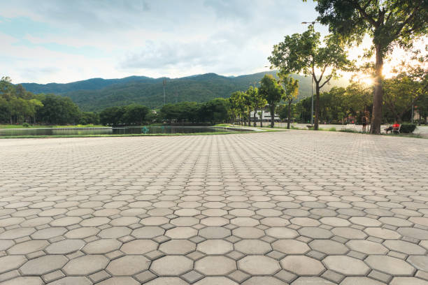 Best Permeable Paver Driveway  in Paw Paw, MI