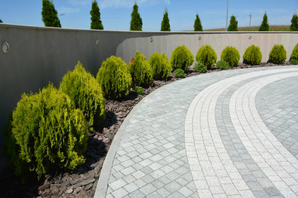 Best Driveway Pavers Cost  in Paw Paw, MI